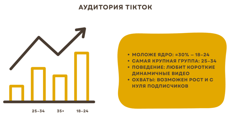 Послуги Instagram vs Tik Tok для експертів