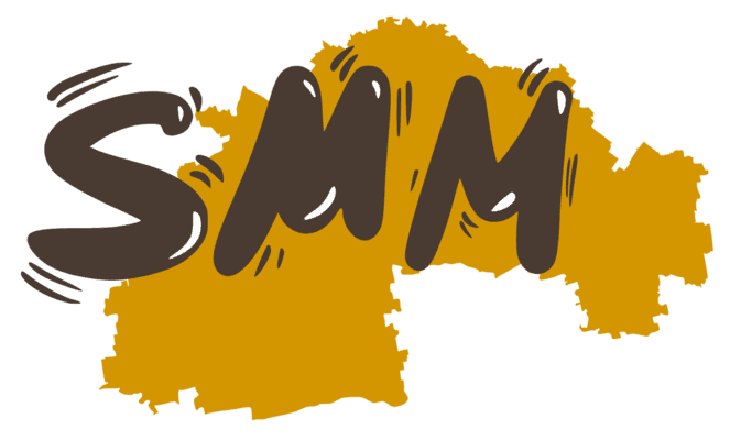 Заказать SMM продвижение в социальных сетях