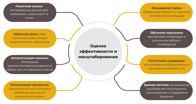 Преимущества использования дронов в сельском хозяйстве