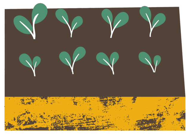 Землеробство та участь інтернету речей у сільському господарстві