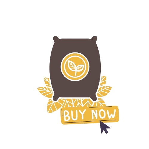 Як створити інтернет-магазин із продажу насіння